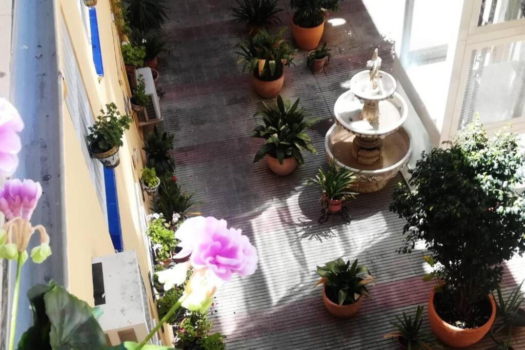 세비야 El Patio De San Bernardo 아파트 외부 사진