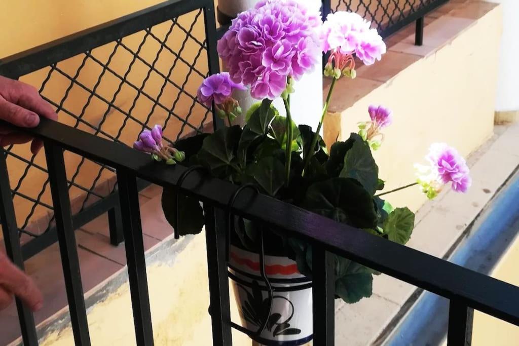 세비야 El Patio De San Bernardo 아파트 외부 사진