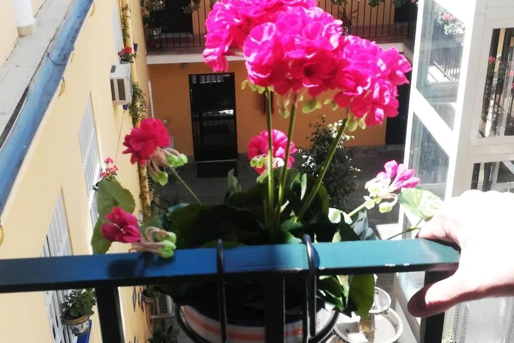 세비야 El Patio De San Bernardo 아파트 외부 사진